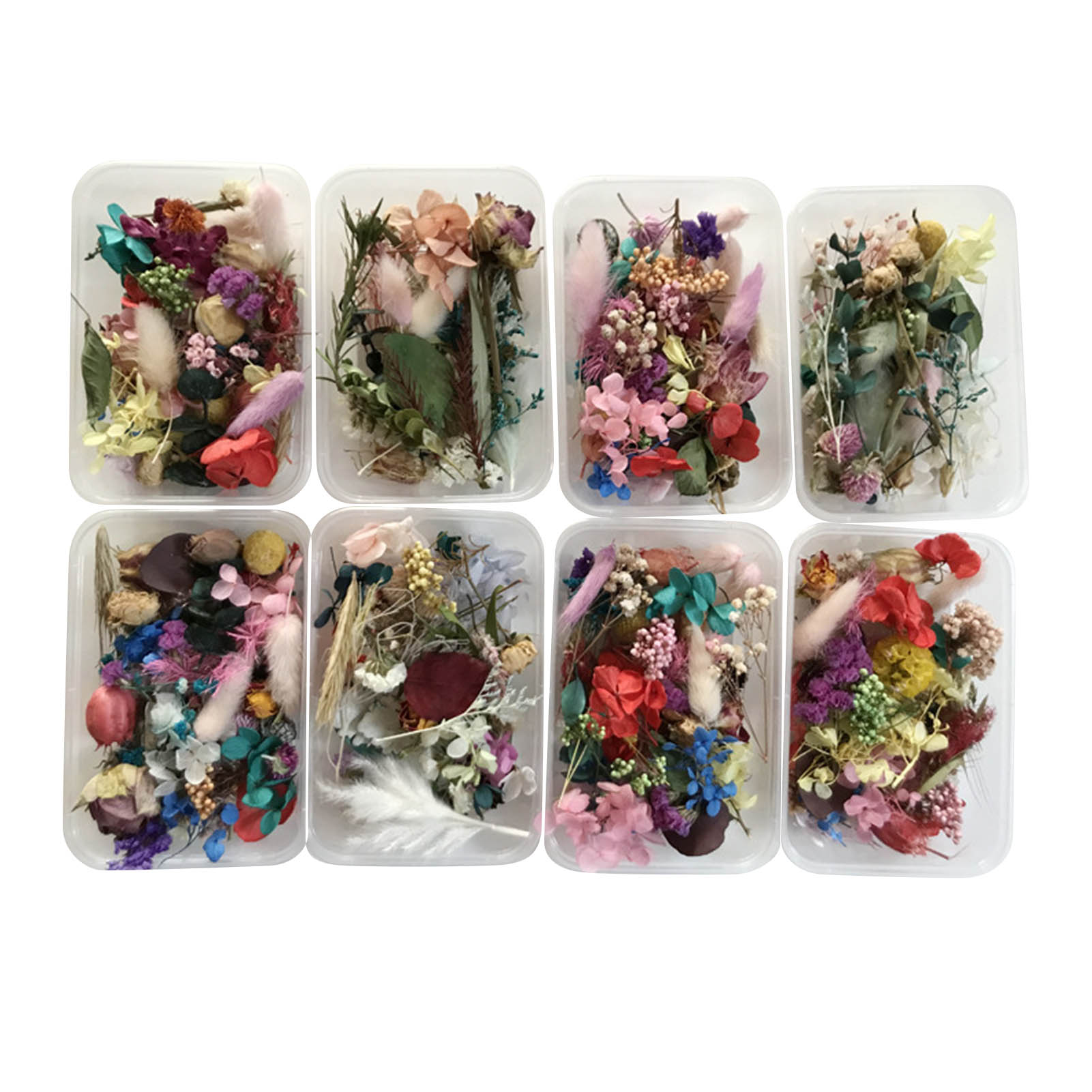 Kit de flores secas naturales, - Dried Herbs reseña y precio