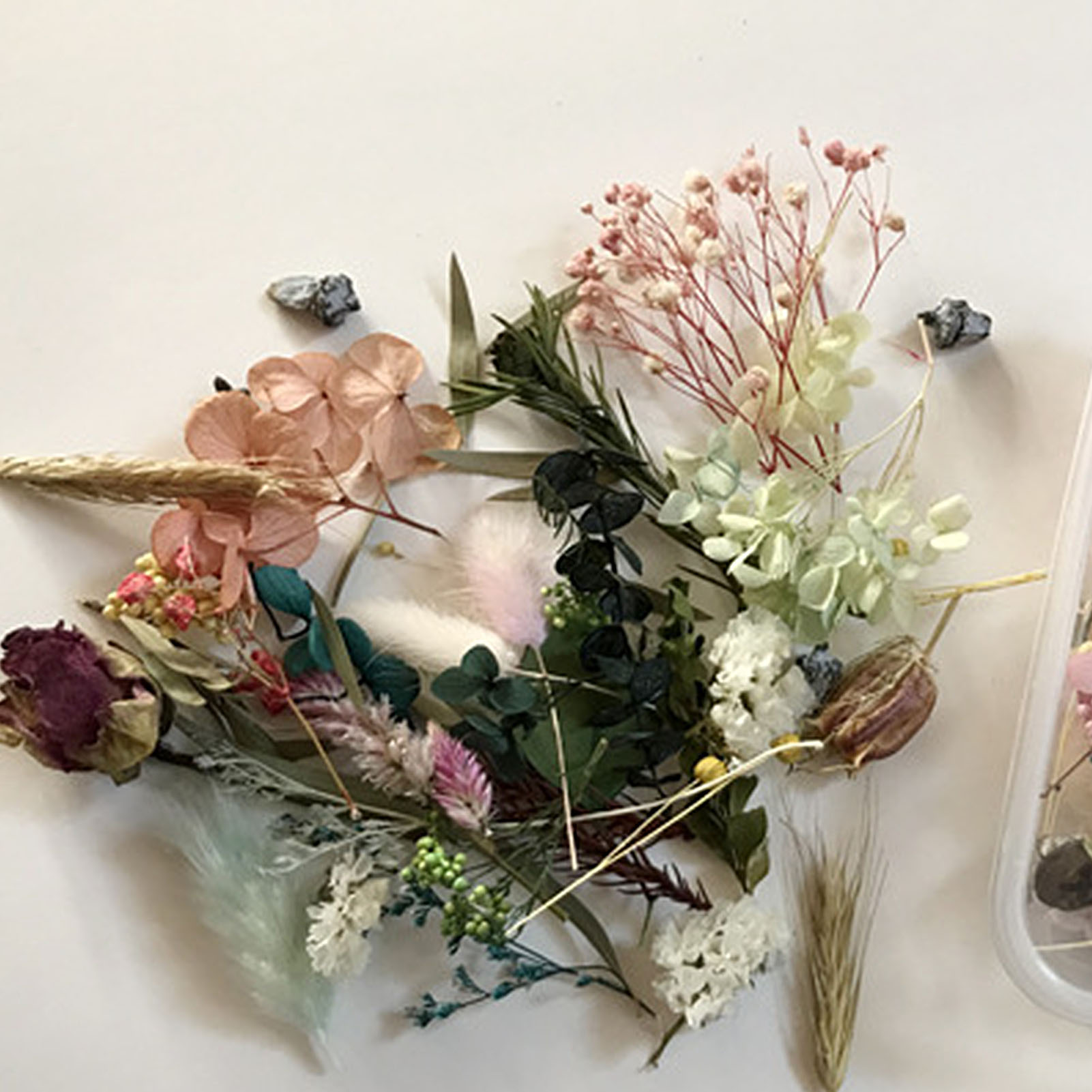 Kit de flores secas naturales, - Dried Herbs reseña y precio